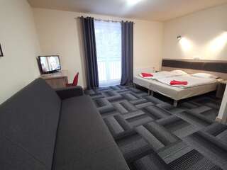 Отели типа «постель и завтрак» dask resort Шклярска-Поремба Стандартный четырехместный номер-5